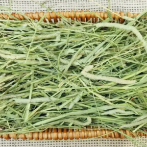 牧草園 提摩西 一割 5公斤不過篩
